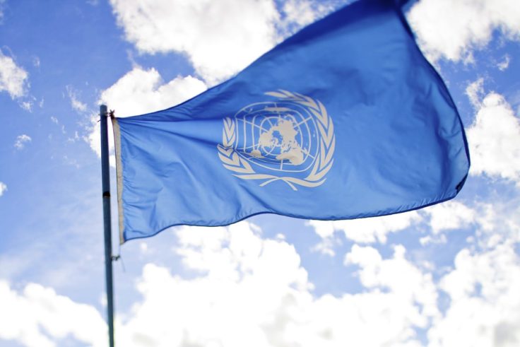 UN, Flag 