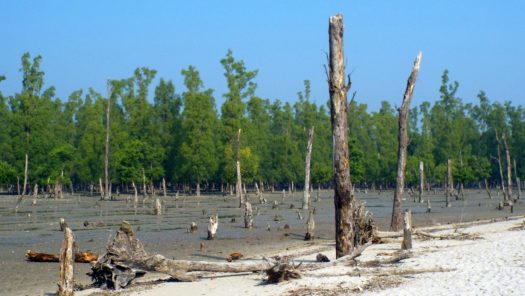 Non-Traditional Security Implications of Climate Change in Bangladesh