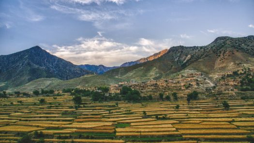 Afghanistan’s Future: Regional Perspectives on the Road Ahead