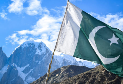 پاکستان ۲۰۲۰ : سال بھر کا جائزہ