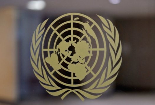 India at the UNSC: The First Six Months
