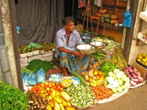 Correcting the Course of Sri Lanka’s Economy