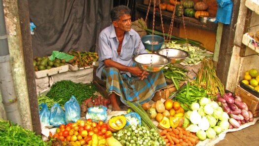 Correcting the Course of Sri Lanka’s Economy