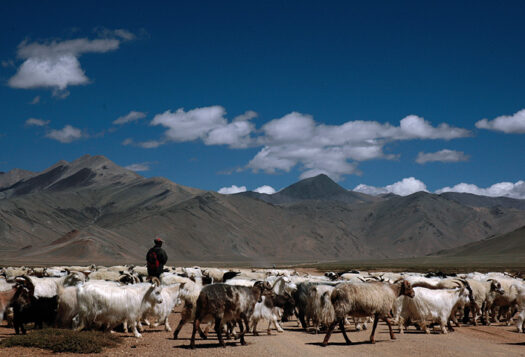 To Counter Chinese Threat, India Must Address Domestic Concerns in Ladakh