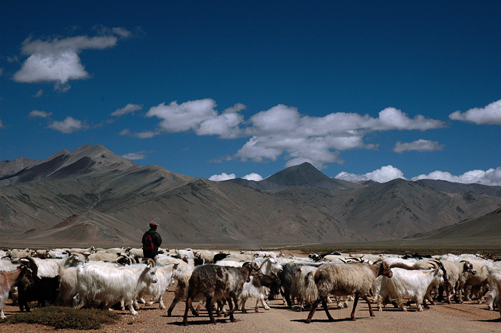 To Counter Chinese Threat, India Must Address Domestic Concerns in Ladakh