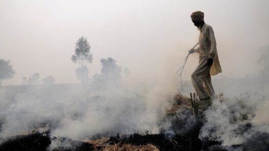 India and Pakistan Must Collaborate to Combat Winter Smog