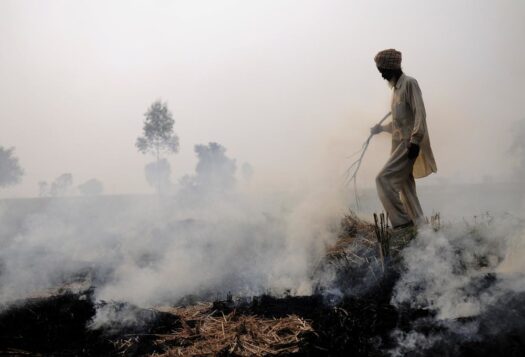 India and Pakistan Must Collaborate to Combat Winter Smog