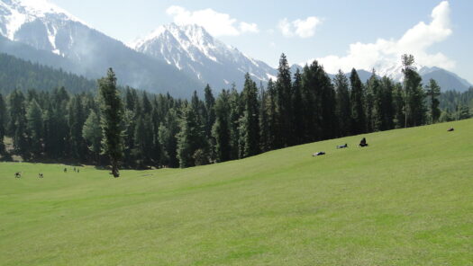 Pahalgam Aftermath: An Unfolding India-Pakistan Crisis