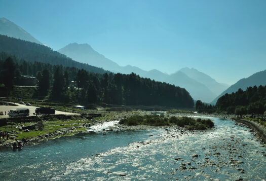 SAV Q&A with Lisa Curtis: The Pahalgam Crisis & U.S. role