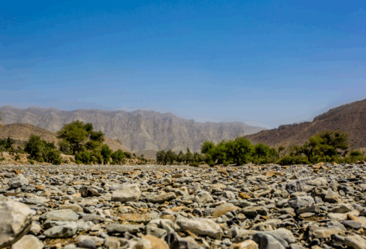 Counterterrorism to Counter-narrative?: BLA Designation and the Return of Re-hyphenation in South Asia